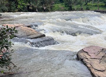 guinea/fouta-djallon/bar/sala-plus