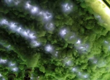 yemen/haraz-mountains/bar/770465189