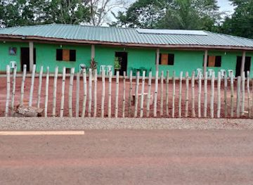 cameroon/dja-faunal-reserve/bar/la-providence