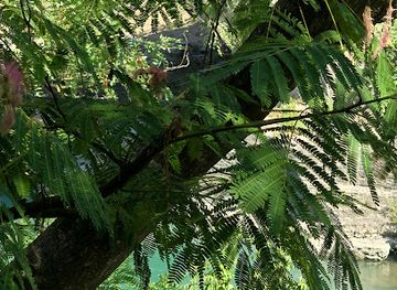 albania/permet/bar/bar-cafe-freskia