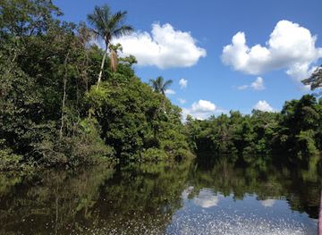 ecuador/cuyabeno-wildlife-reserve/bar/reserva-de-produccion-de-fauna-cuyabeno