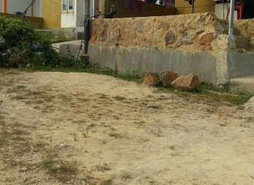 indonesia/southeast-sulawesi/bar/boulevard