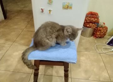 ukraine/kropyvnytskyi/bar/churchill-pub-und-grille