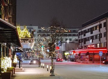 finland/lapland/bar/roy-club