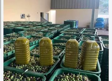 egypt/zagazig/bar/albywm