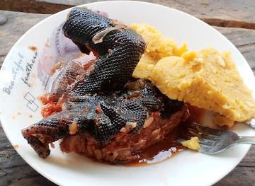 cameroon/ebolowa/bar/viande-de-brousse