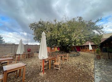 chile/aconcagua-valley/bar/i-ragazzi