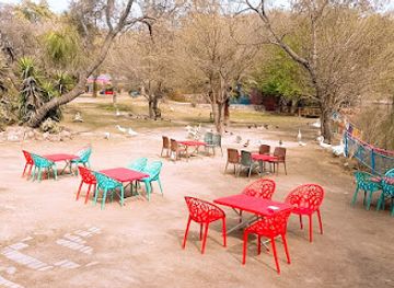 pakistan/rawalpindi/ayub-national-park/bar/timber-cafe