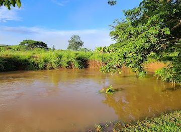 papua-new-guinea/fly-river-basin/bar/koitaki-country-club
