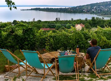 hungary/balaton-uplands-national-park/bar/csendes-dulo-szolobirtok-borterasz
