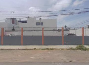 ecuador/salinas/bar/l-fusion