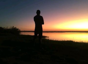 zimbabwe/mana-pools-national-park/bar/comfort-zone-pub-n-bar