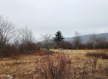 virginia/grayson-highlands-state-park/bar/grayson-highlands-state-park-trailhead-parking