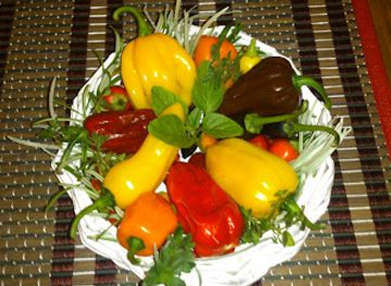 czechia/elbe-sandstone-mountains/bar/bistro-kamenak