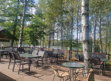 poland/bory-tucholskie/bar/bistro-pod-brzozami