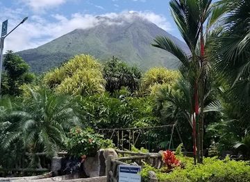 costa-rica/arenal-volcano-area/bar/terra-bar