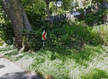 sri-lanka/moneragala-district/bar/black-rose