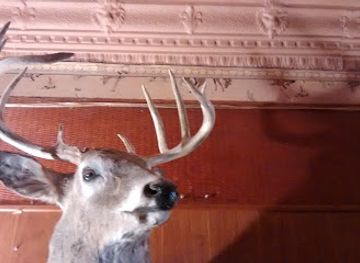 south-dakota/lake-francis-case/bar/sommers-bar-lounge