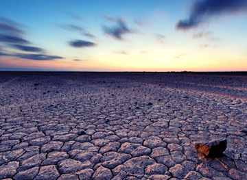djibouti/grand-bara-desert/bar/grand-bara