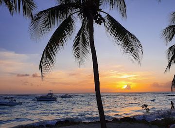barbados/south-coast/bar/king-s-tavern