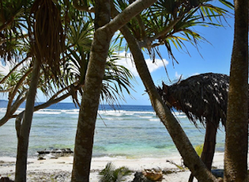 vanuatu/penama/bar/paradis-beach-vila-beach-bar-vanuatu