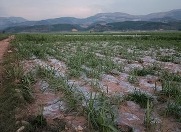laos/plain-of-jars/bar/