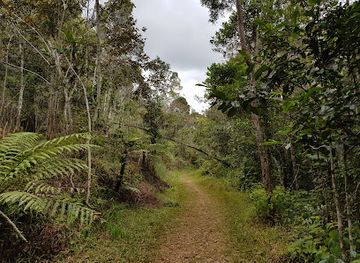 madagascar/andasibe-mantadia-national-park/bar/park-voimma