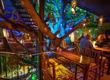 Tree House Restaurante