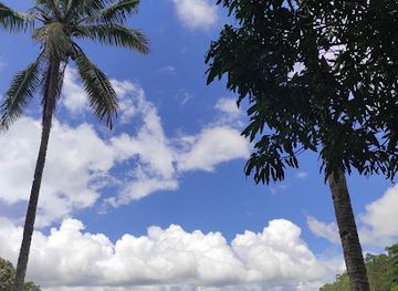 timor-leste/cova-lima/bar/amizade-resto