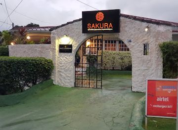 gabon/crystal-mountains-region/bar/sakura