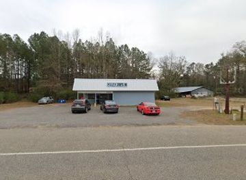 alabama/tombigbee-river/bar/millry-drive-in
