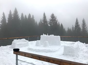 czechia/krkonose-national-park/bar/puzzle-patejdlovka-ii