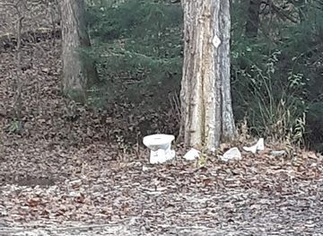 kentucky/sheltowee-trace-national-recreation-trail/bar/sheltowee-trace-trailhead-and-parking