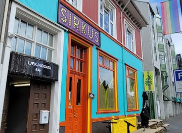 iceland/reykjavik/downtown-reykjavik/bar/the-downtown-bar