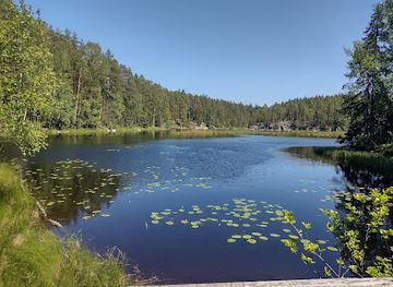 finland/urho-kekkonen-national-park/bar/nuuksio-national-park