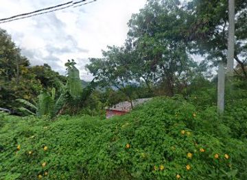 indonesia/lake-toba/bar/rindu-alam-cafe-and-pub