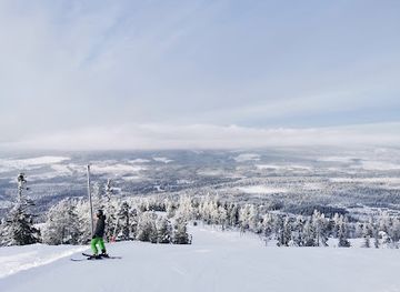 sweden/stoten/bar/stoten-in-salen