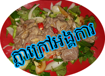 cambodia/ratanakiri-province/bar/ta-chea-pub-natural