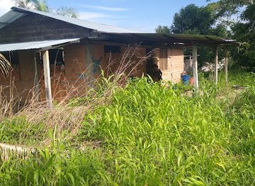 peru/madre-de-dios/bar/bar-la-chinita