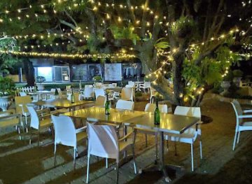 zimbabwe/zambezi-valley/bar/queen-of-hearts