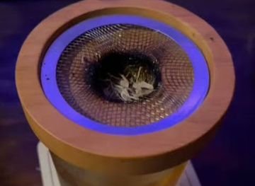 honduras/ocotepeque-region/bar/the-classic-bar