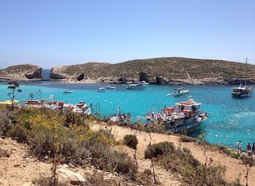 malta/blue-lagoon/bar/the-fruit-bar