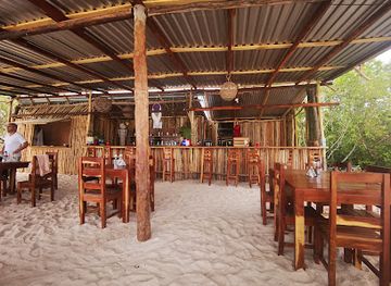 mexico/holbox-island/bar/holbox-magico