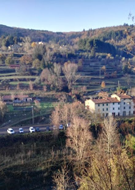 Lanini