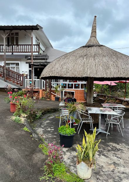 Restaurant Les Palmiers Chez Dev