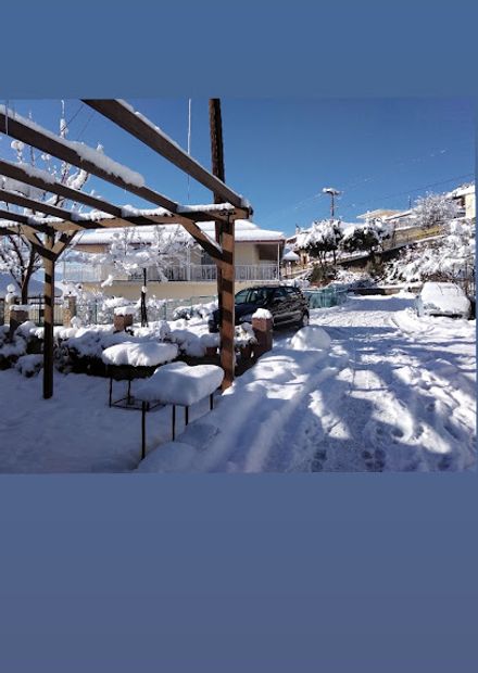 Nuxterida cafe