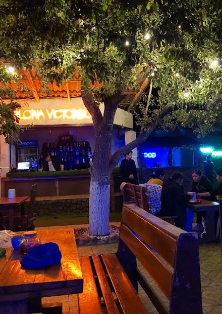 Дерево Pub