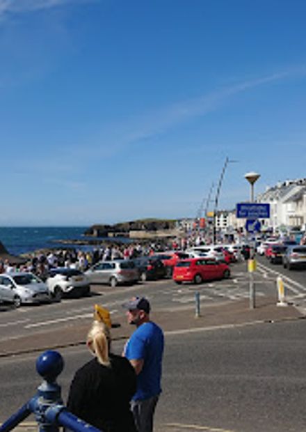 The Anchor Bar Complex