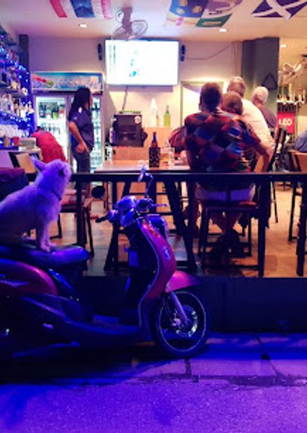 tip top bar