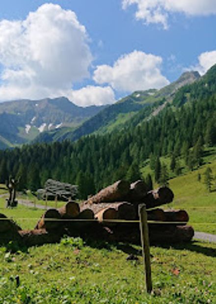 Alp Valüna